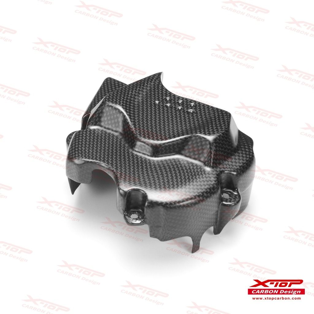 Front sprocket cover Hypermotard 698