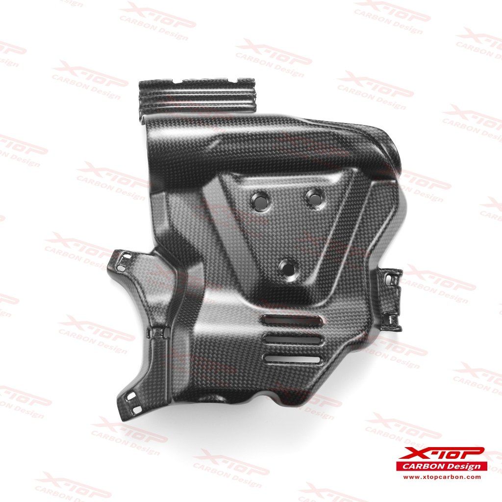 Engine Cover Left Hypermotard 698