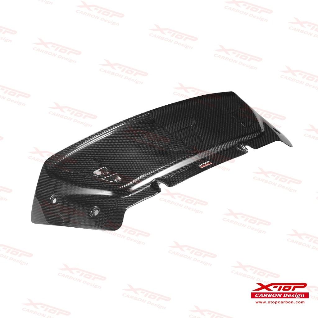 carbon visor