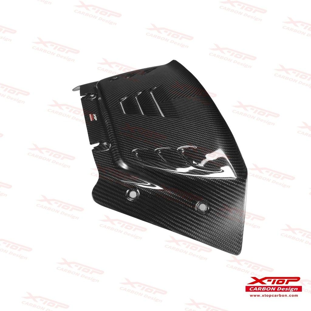 carbon visor