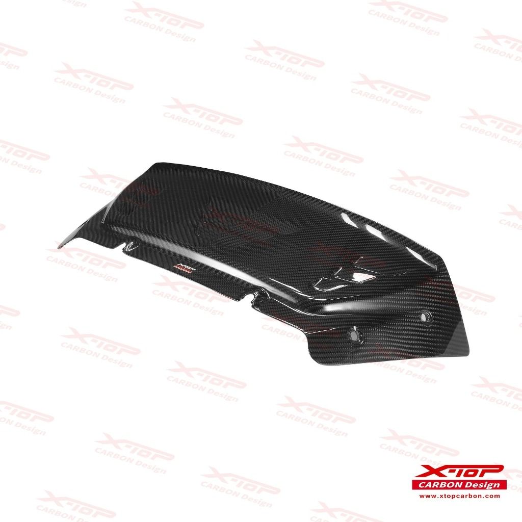carbon visor